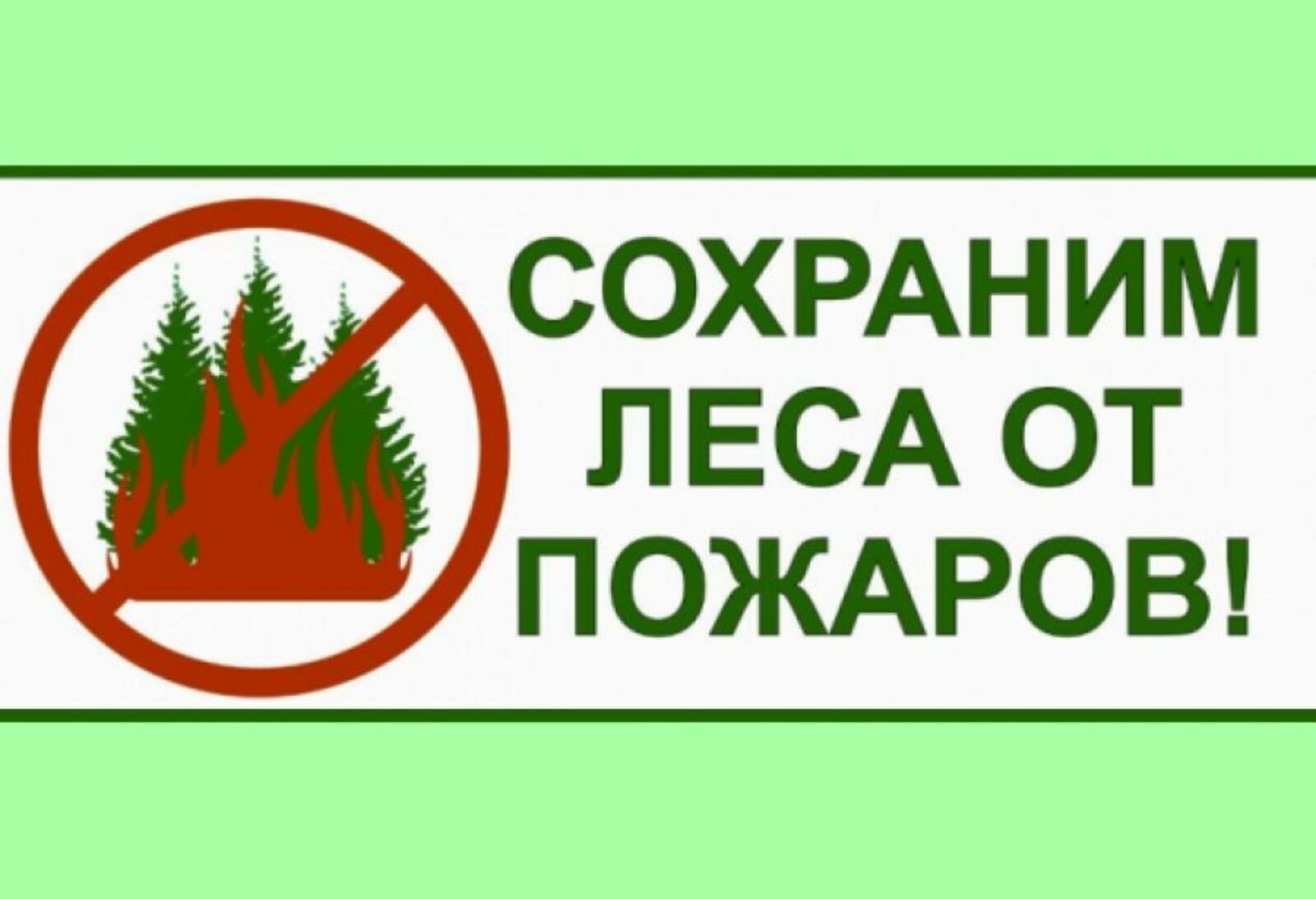 Сохраним лес от пожаров!