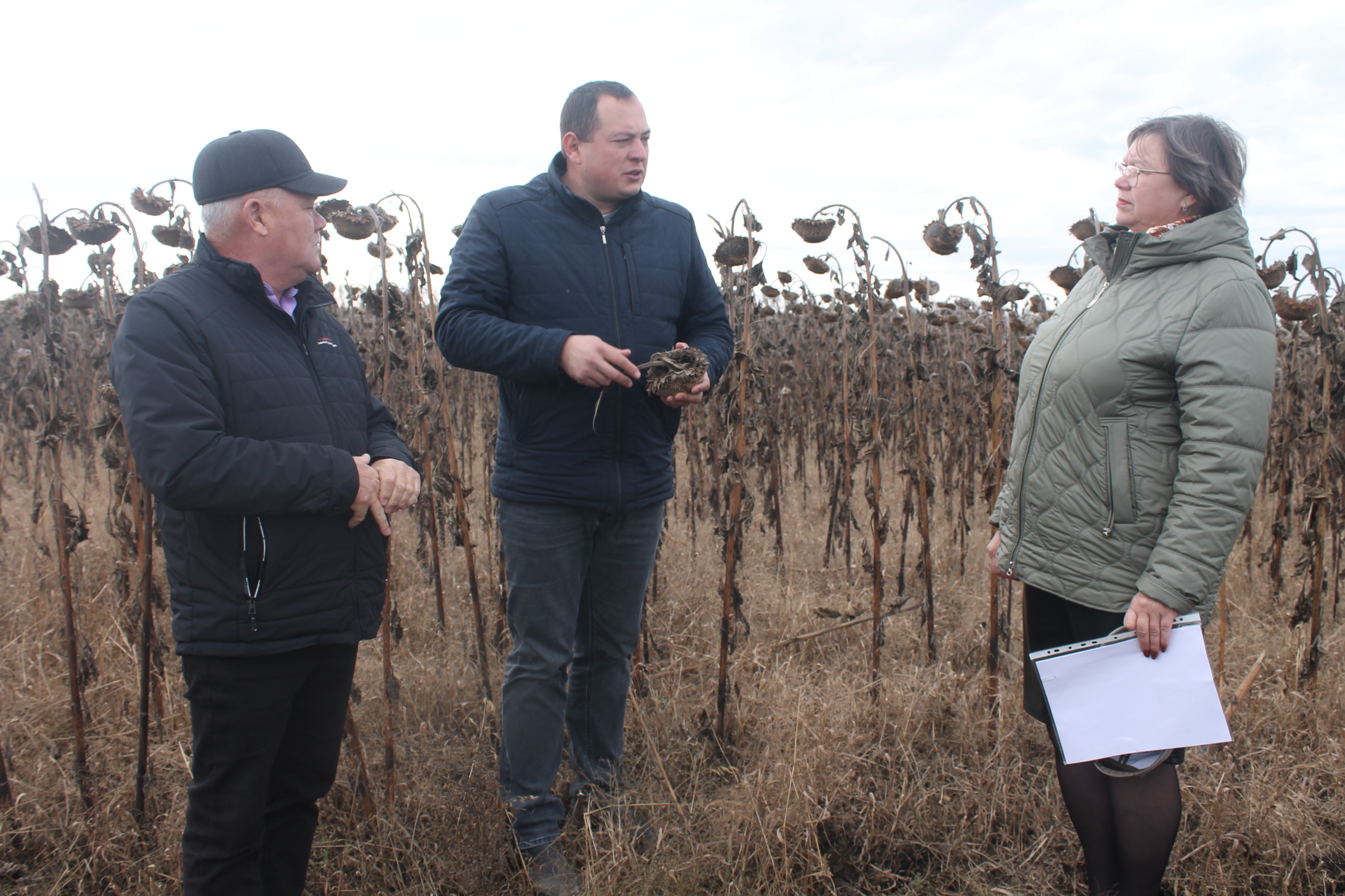 Радует щедрый урожай