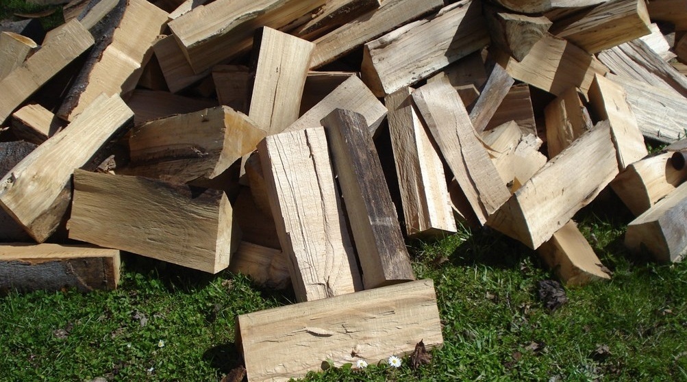 Порядок заготовки гражданами древесины для собственных нужд