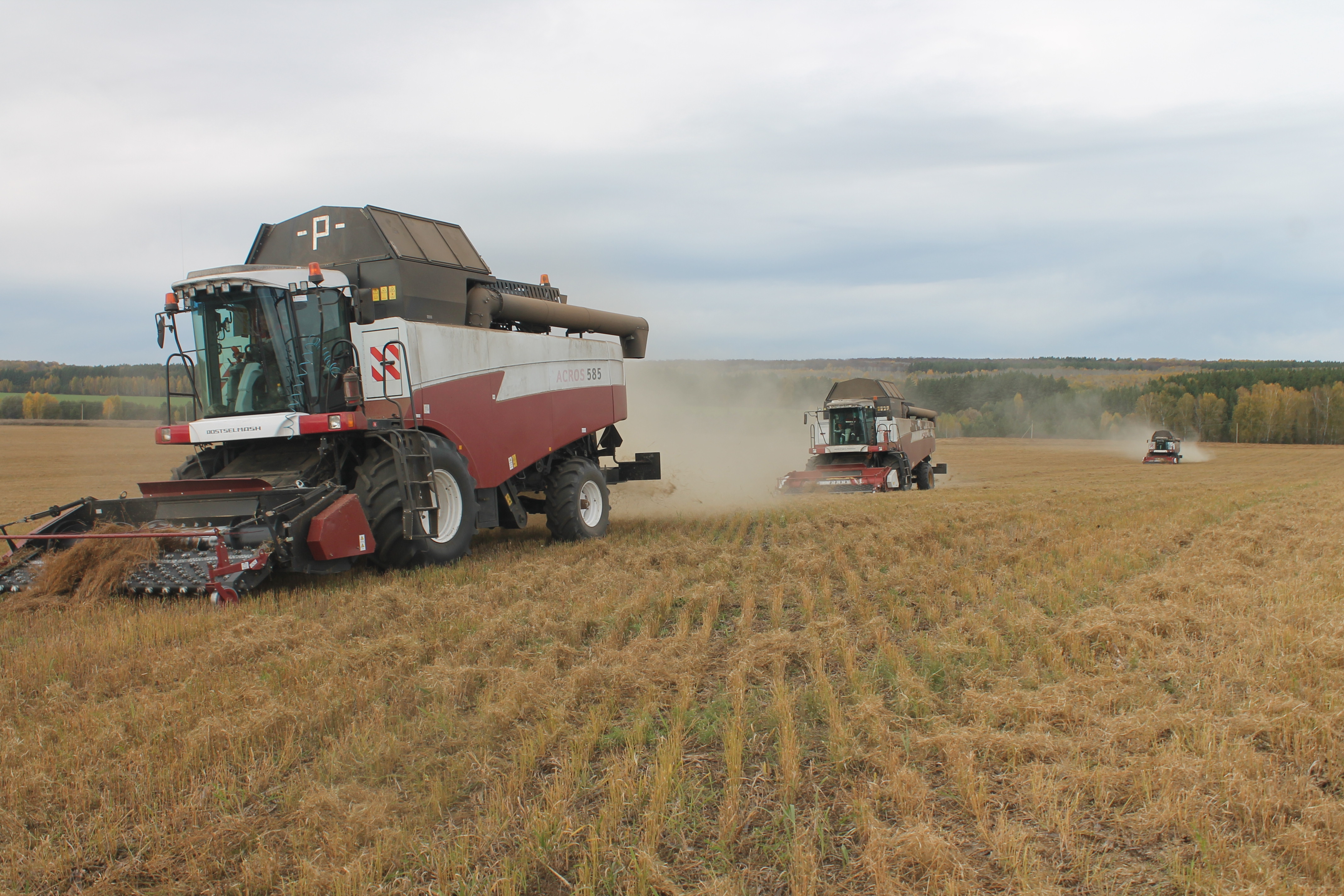 Радует щедрый урожай