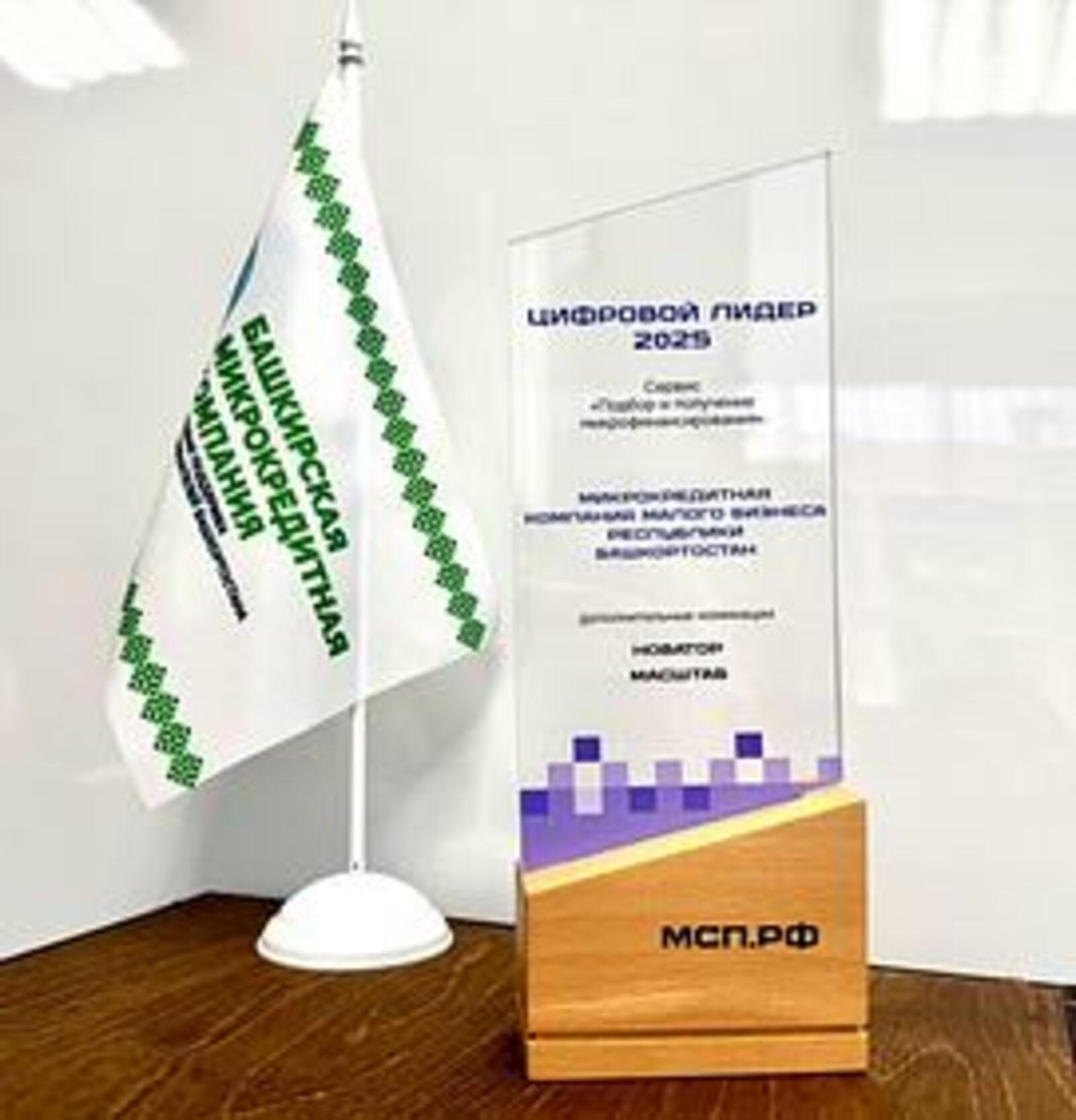 Башкортостан вошел в число лидеров по цифровой микрофинансовой поддержке