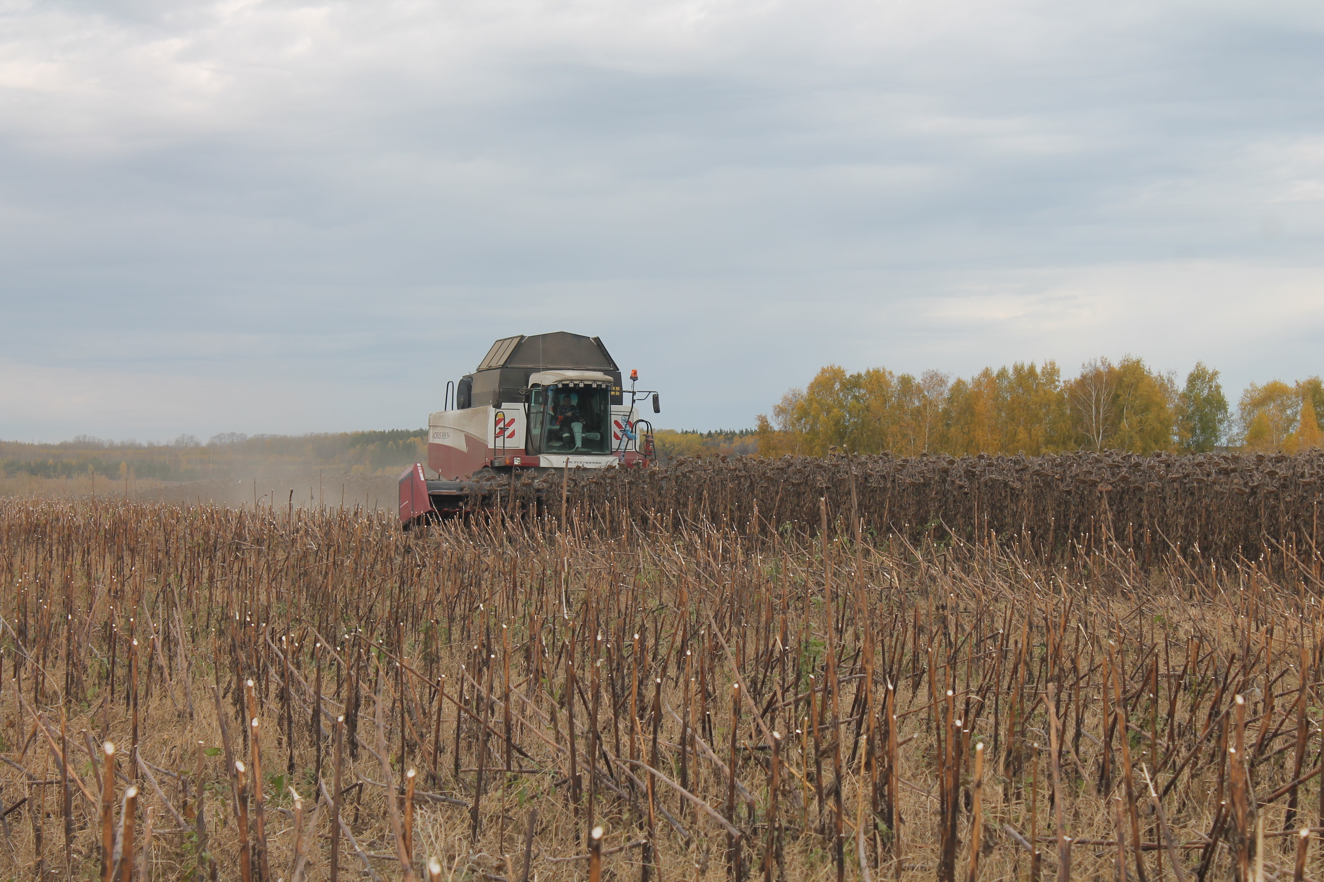 Радует щедрый урожай