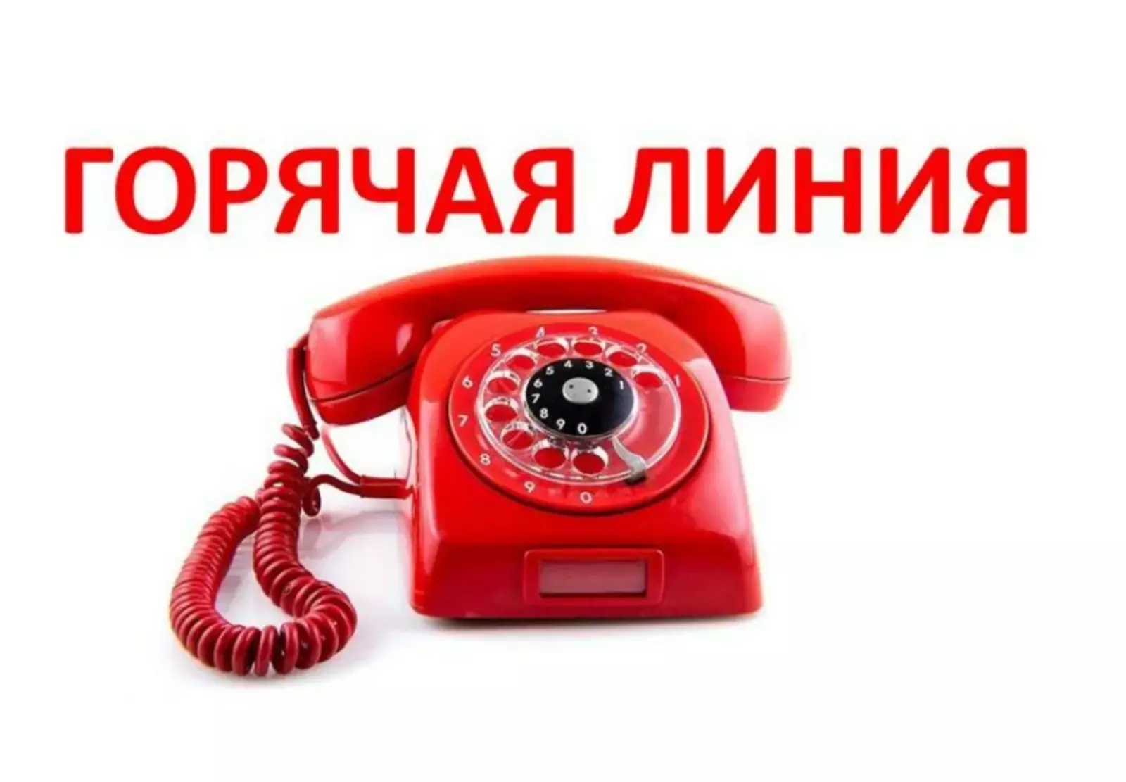 В прокуратуре Шаранского района организована «горячая линия»