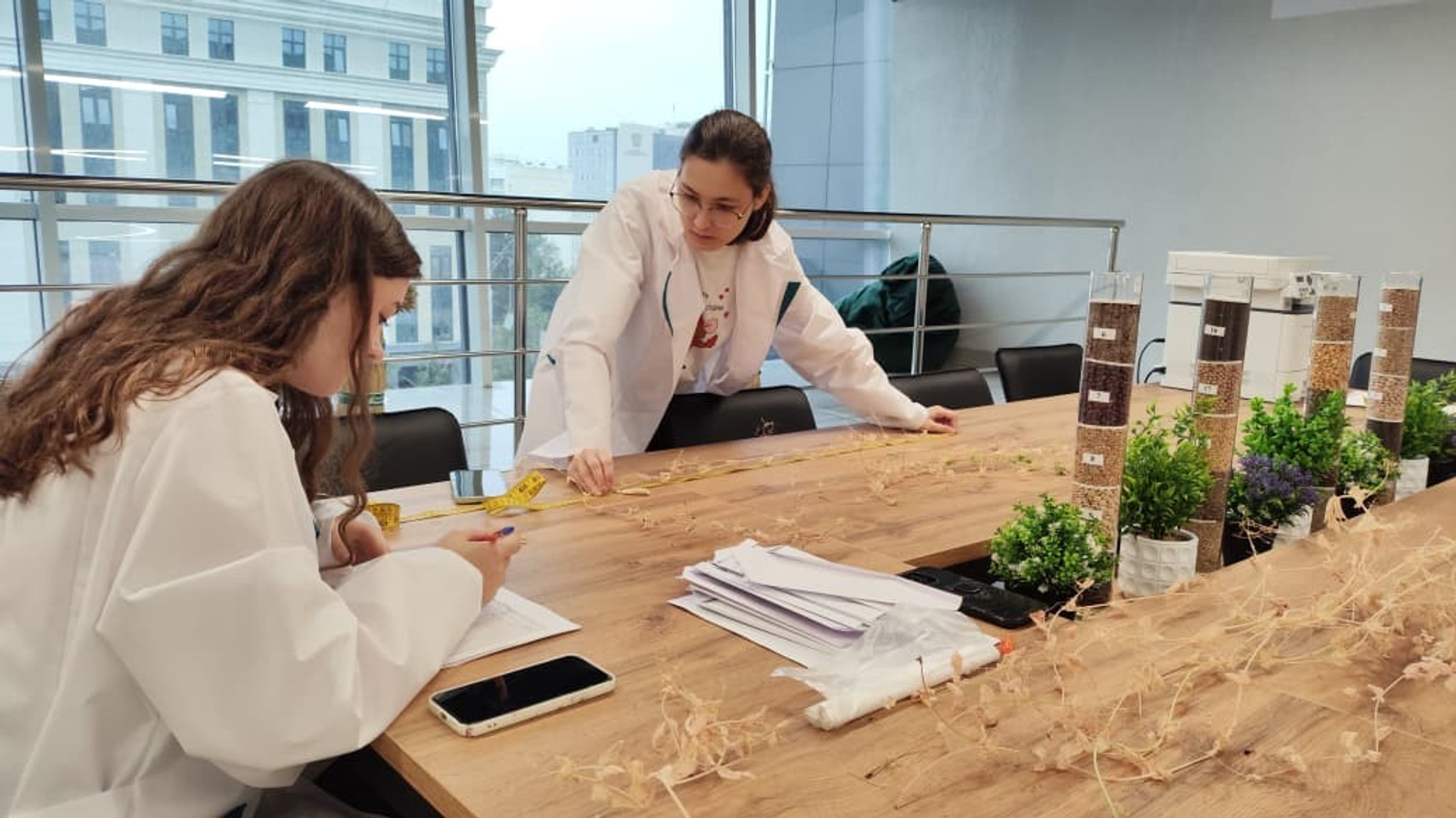 В Межвузовском кампусе Уфы завершен успешный эксперимент по гибридизации гороха