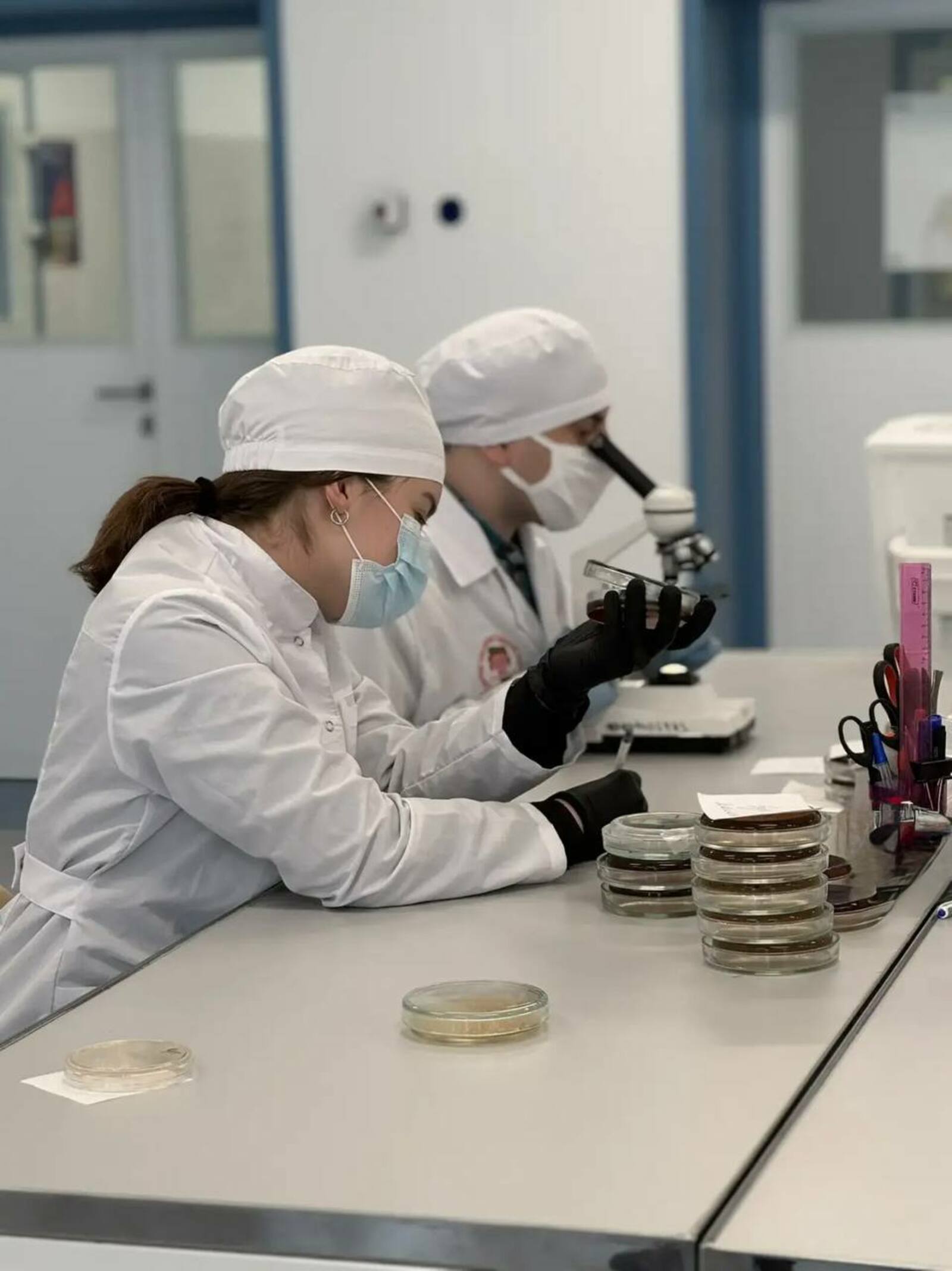 В Уфе разработали тест-систему для оперативного выявления «бактерии стройности»