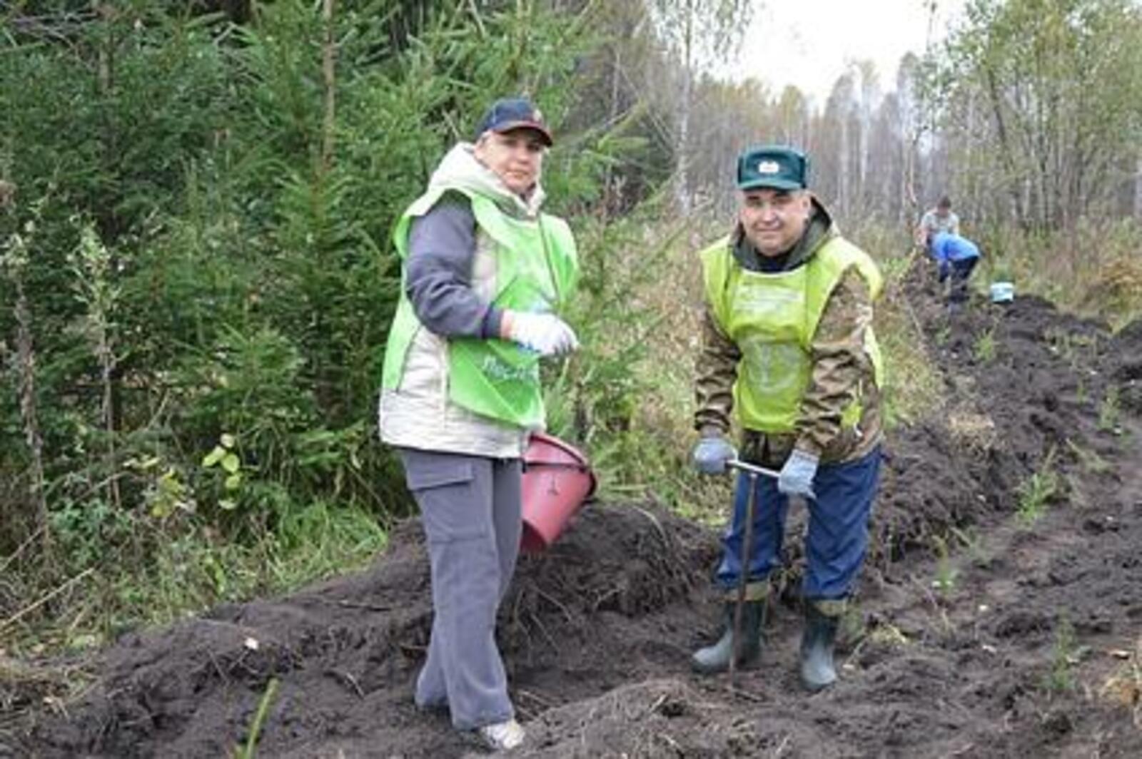 Лесоводы Башкортостана проведут лесовосстановление на площади 13 тысяч гектаров