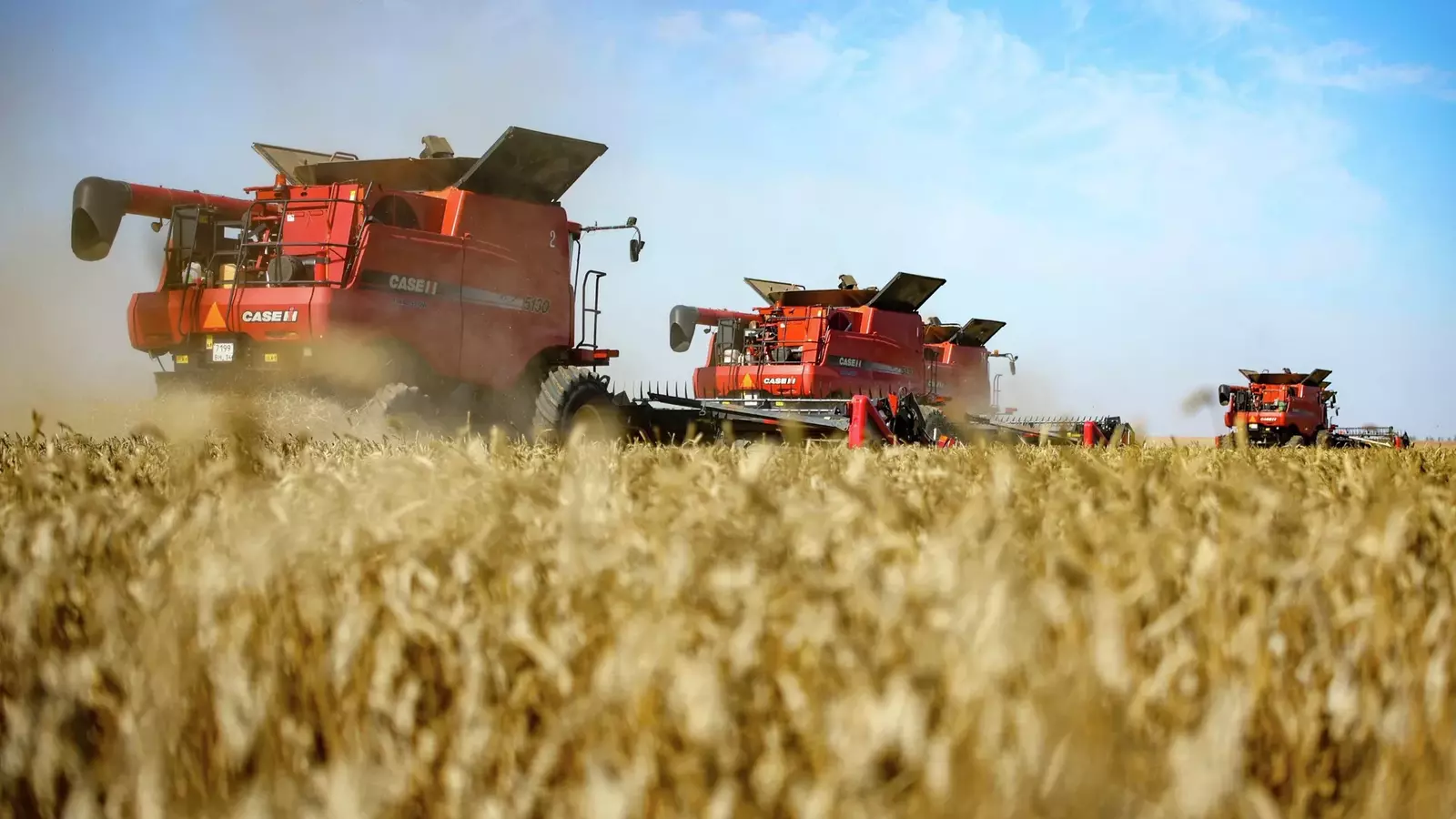 Путин заявил о планах использовать ИИ в сельском хозяйстве