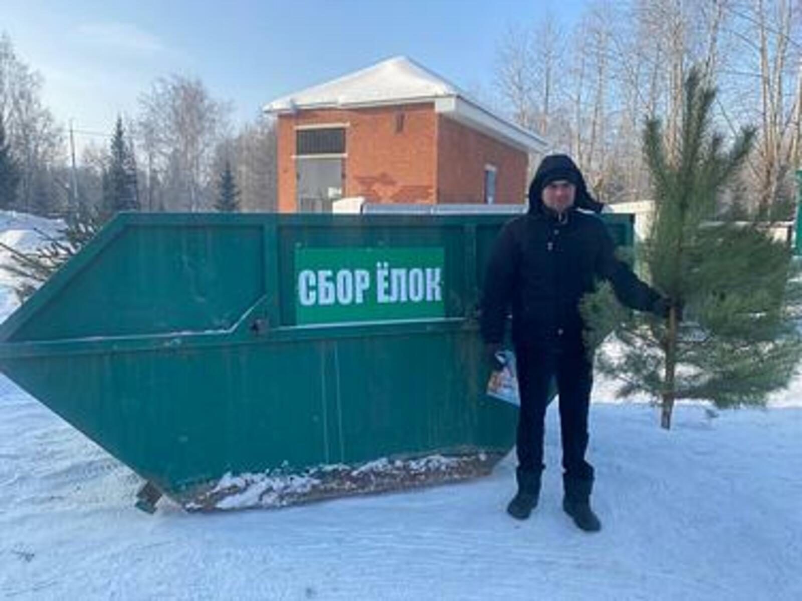 Более 400 новогодних елок отправили на переработку жители Башкортостана