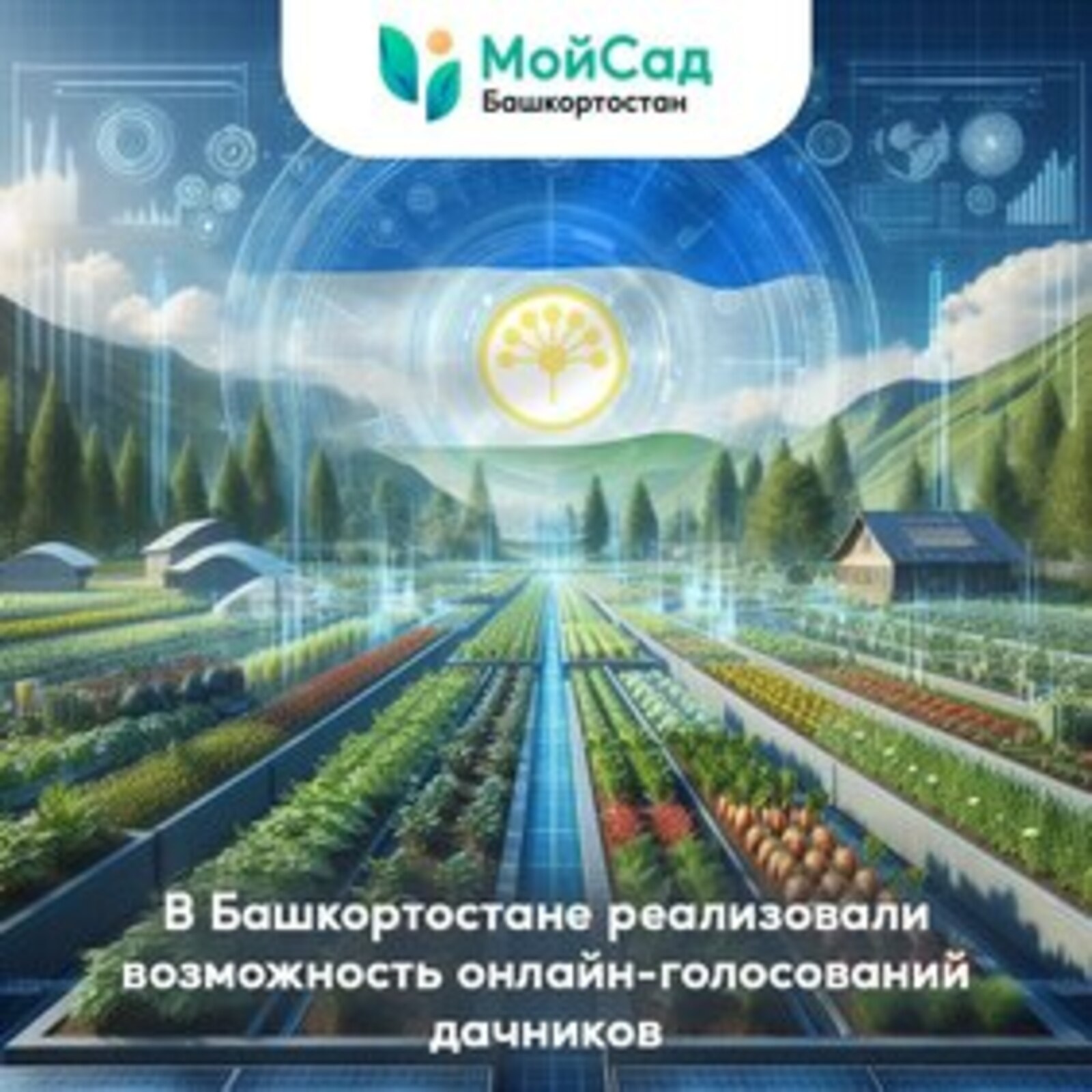 В Башкортостане впервые реализовали возможность онлайн-голосований дачников