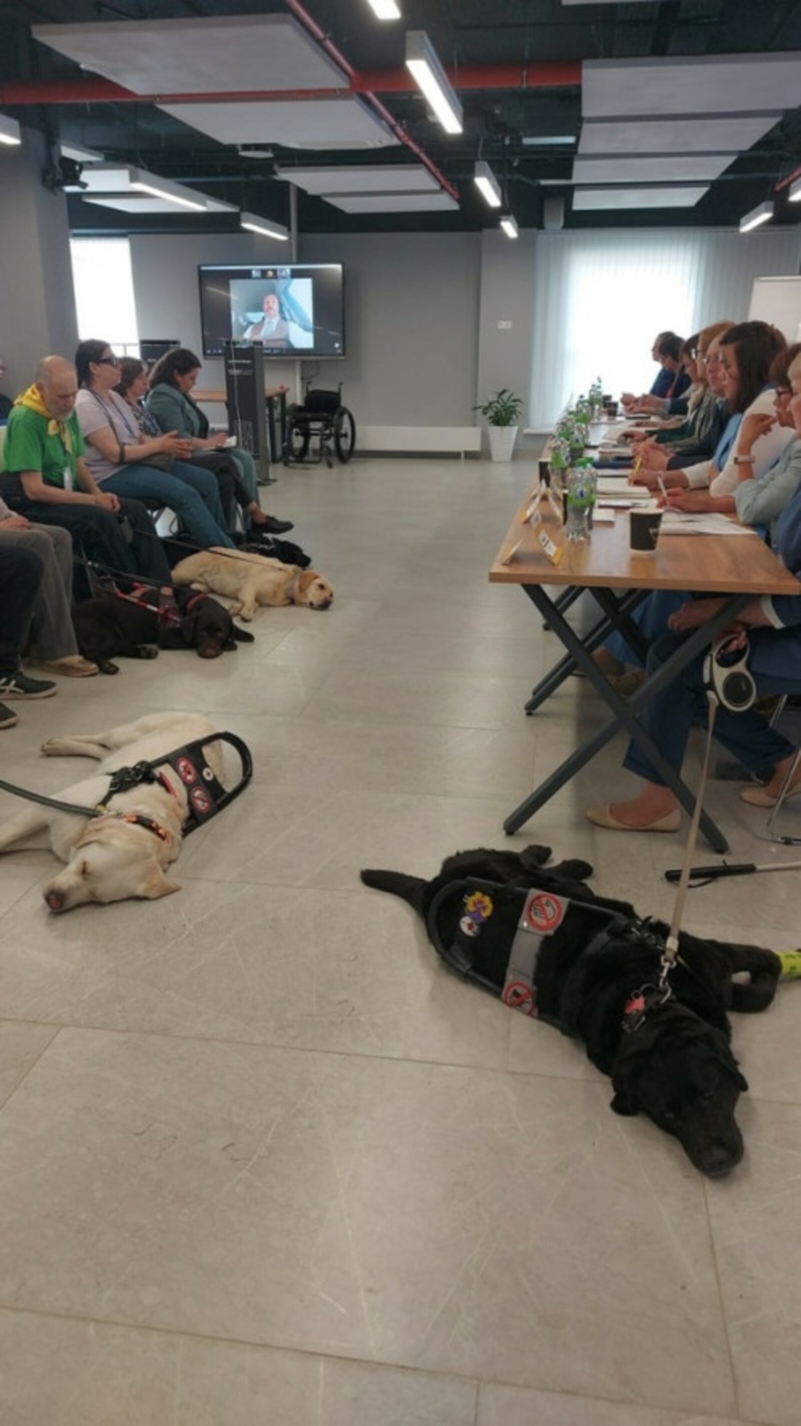 В Межвузовском кампусе Уфы провели встречу владельцев собак-поводырей