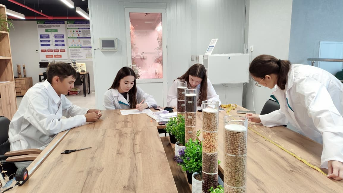 В Межвузовском кампусе Уфы завершен успешный эксперимент по гибридизации гороха