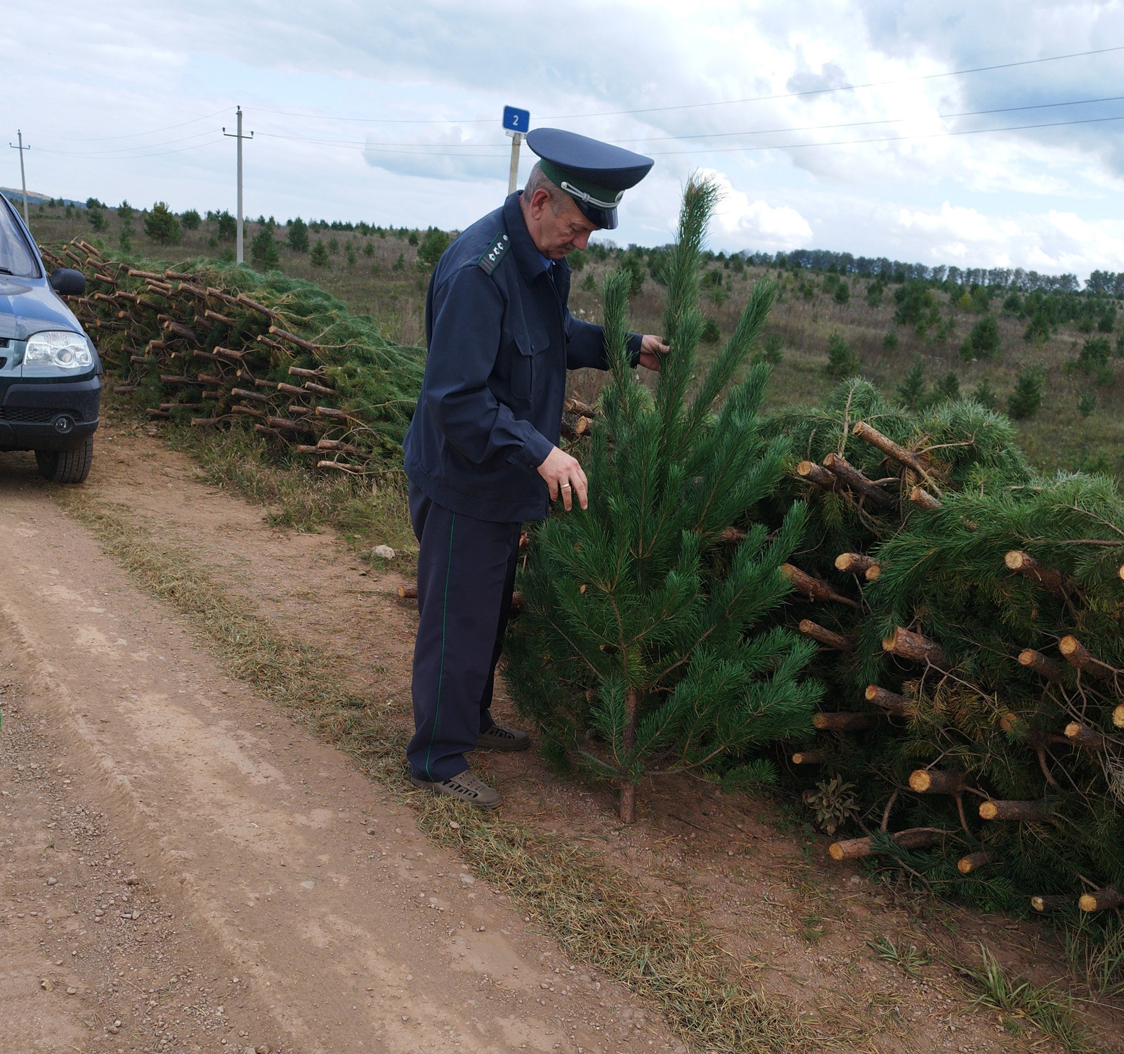 Башкирские лесные красавицы – в регионы