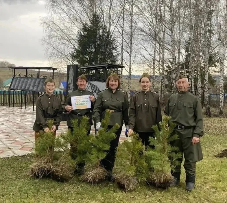 Заложили тематические аллеи