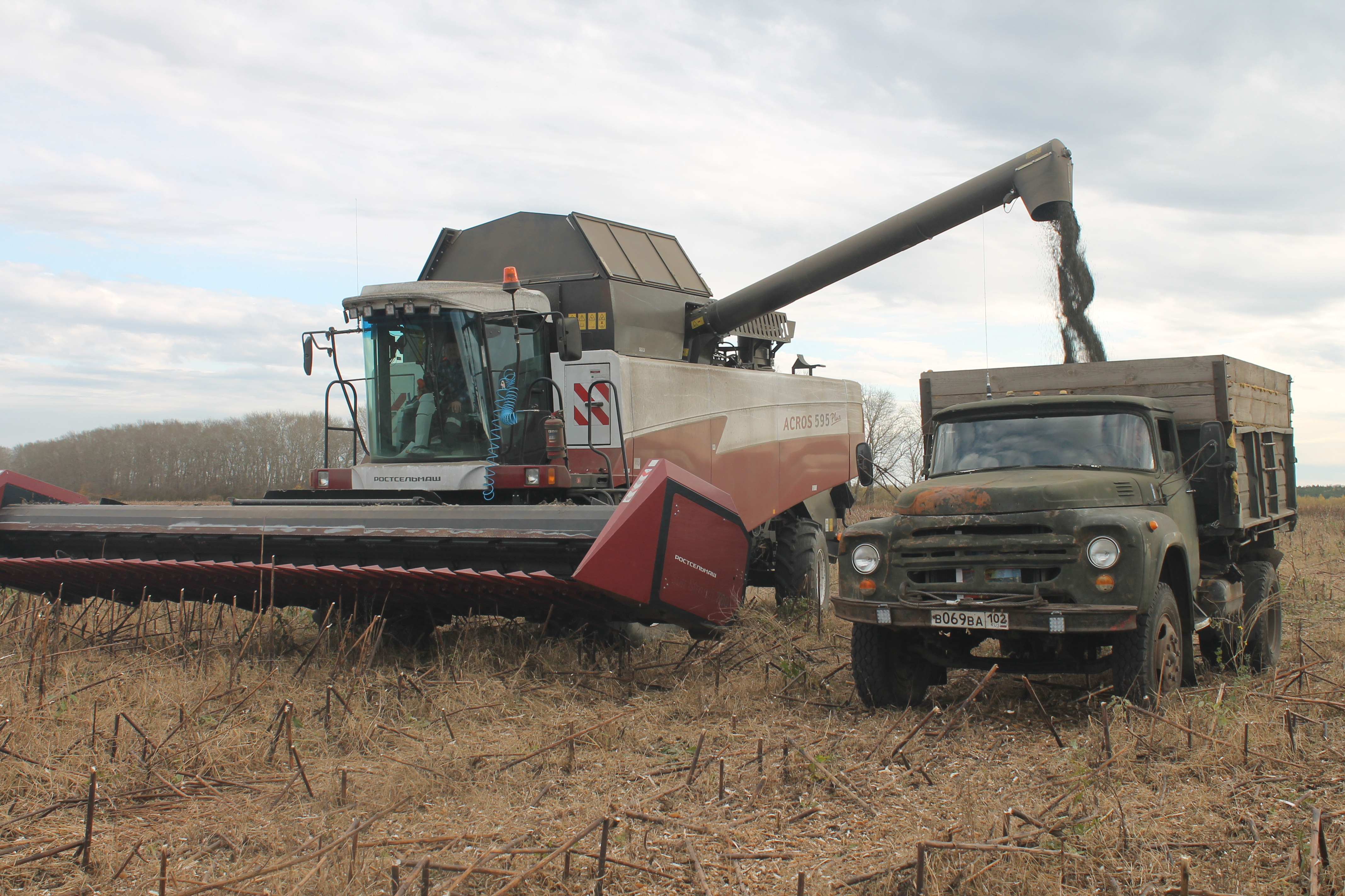 Радует щедрый урожай
