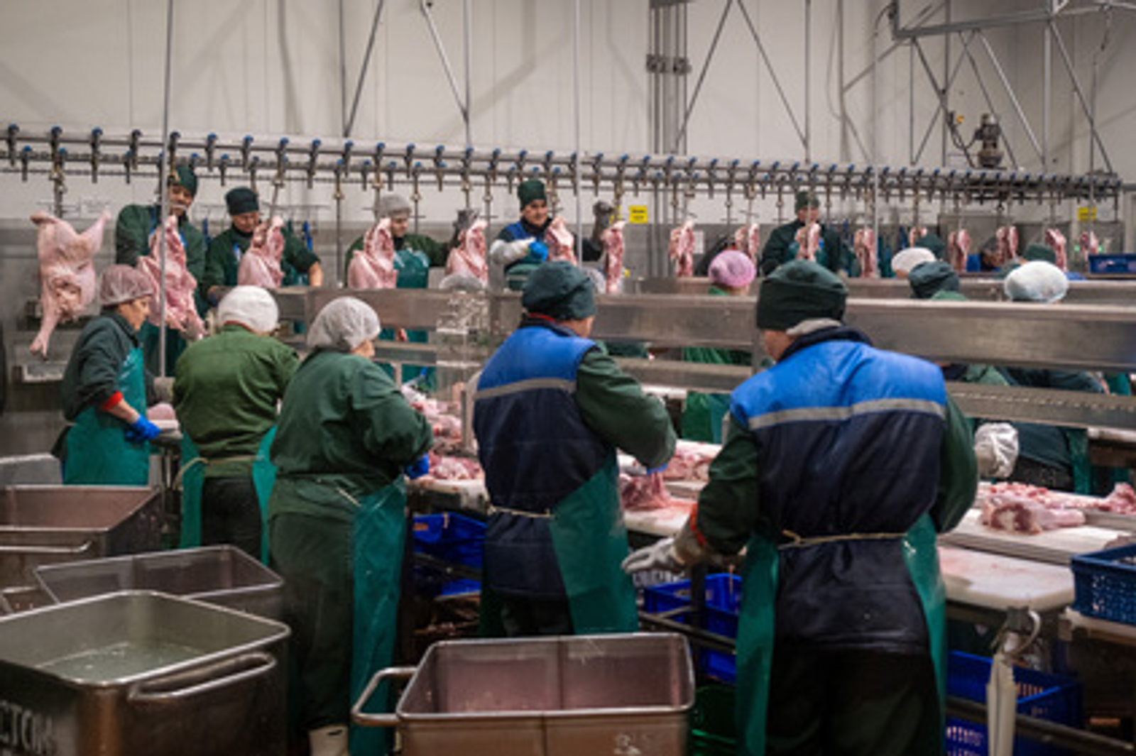 Башкирия с начала года экспортировал в Конго более 160 тонн продукции из индейки