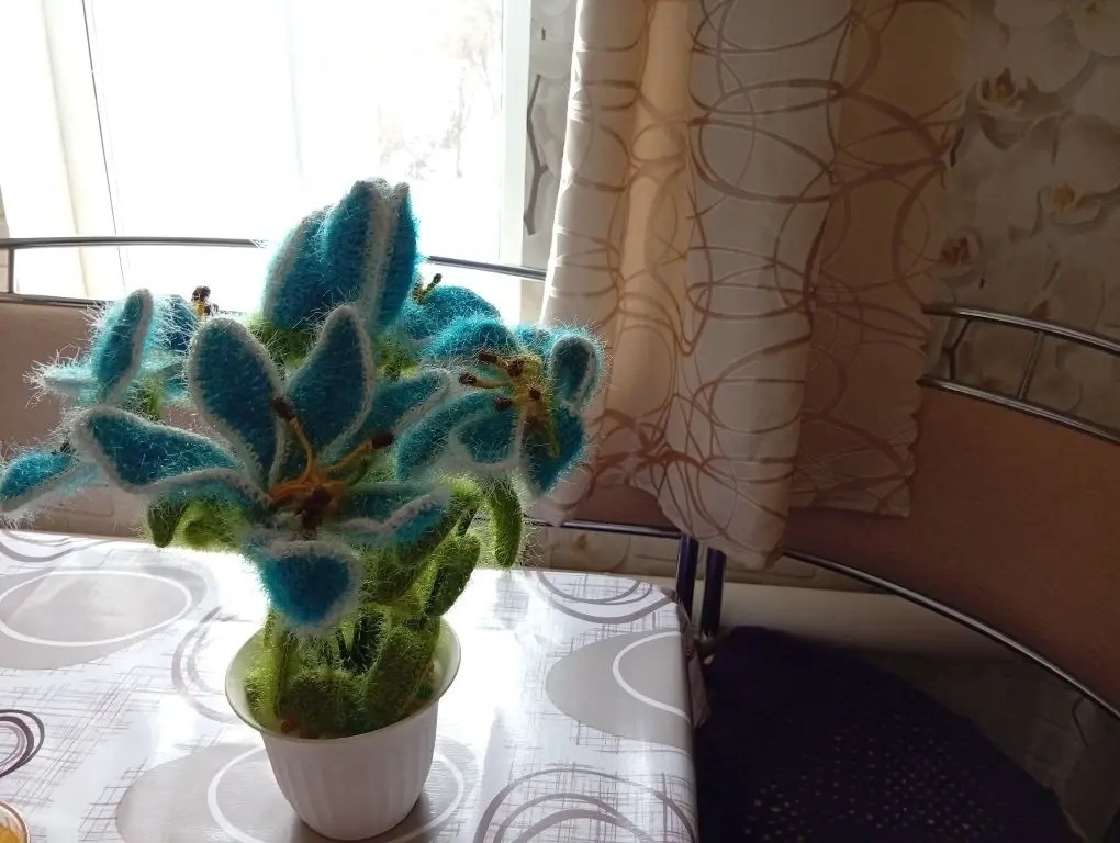 В ней – позитив и умение радоваться каждому дню