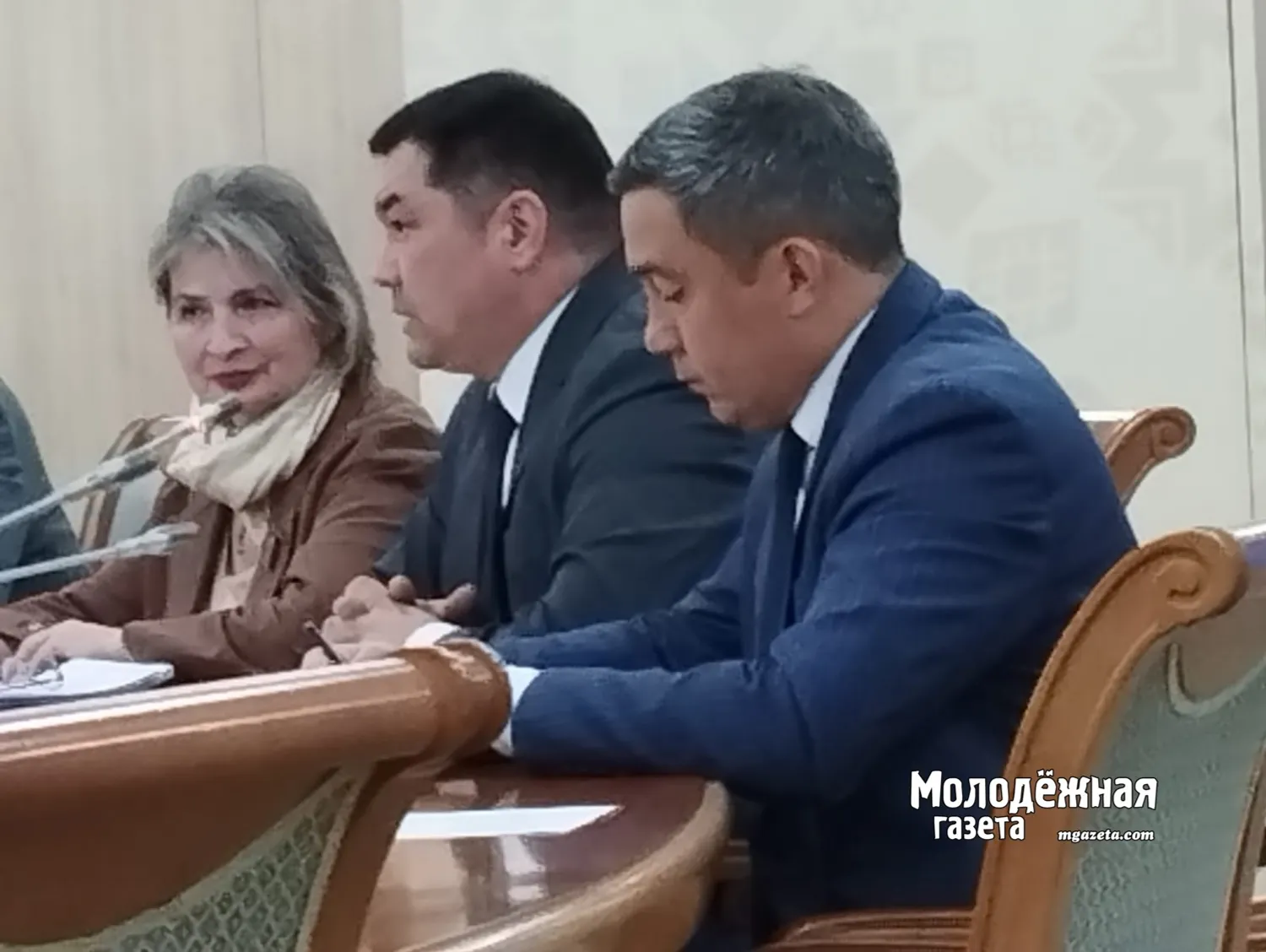 Подобных практик, как АИС «БашПеревод», в стране пока нет