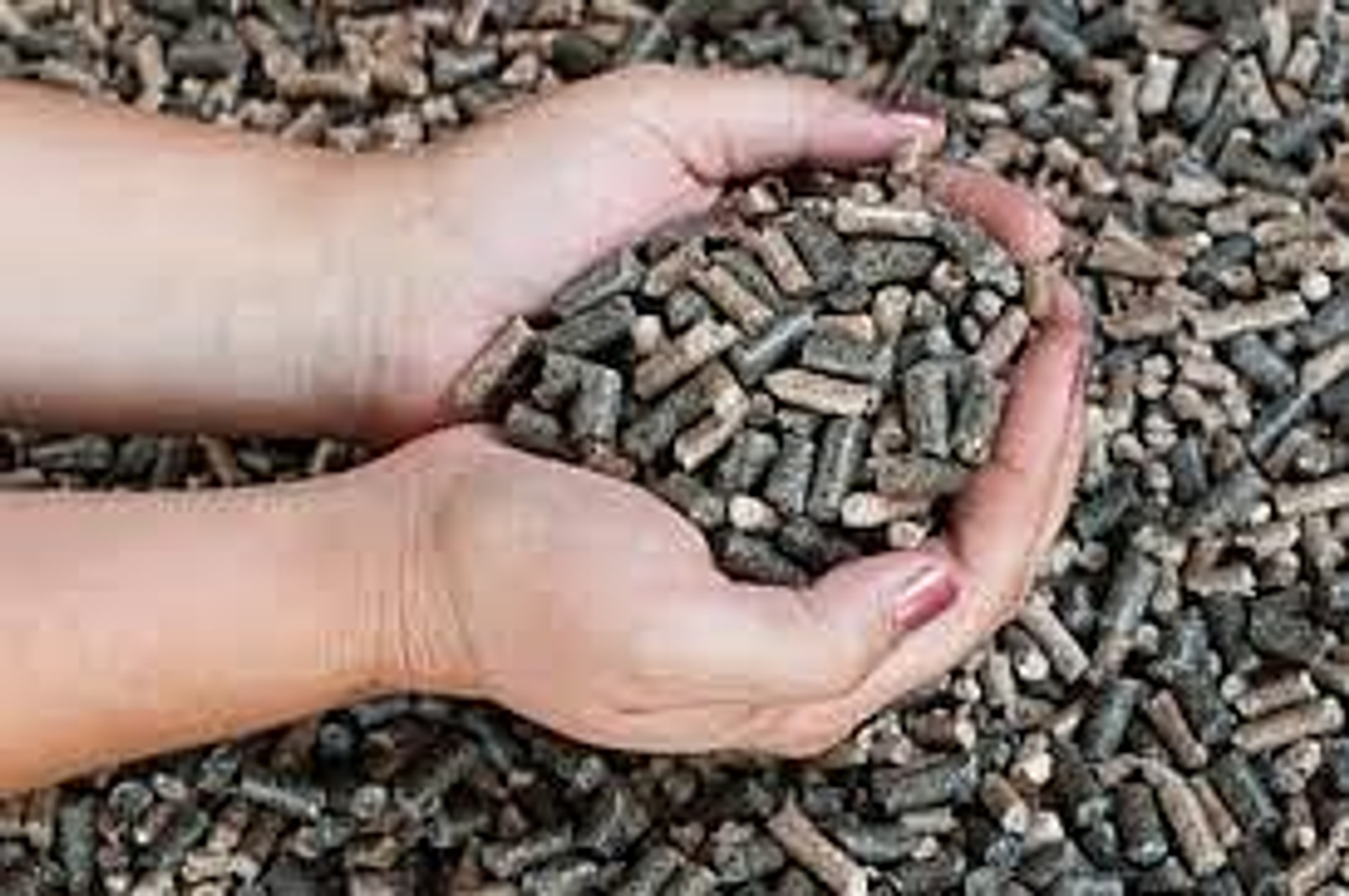 Башкортостан экспортировал в Туркменистан пробную партию подсолнечного шрота