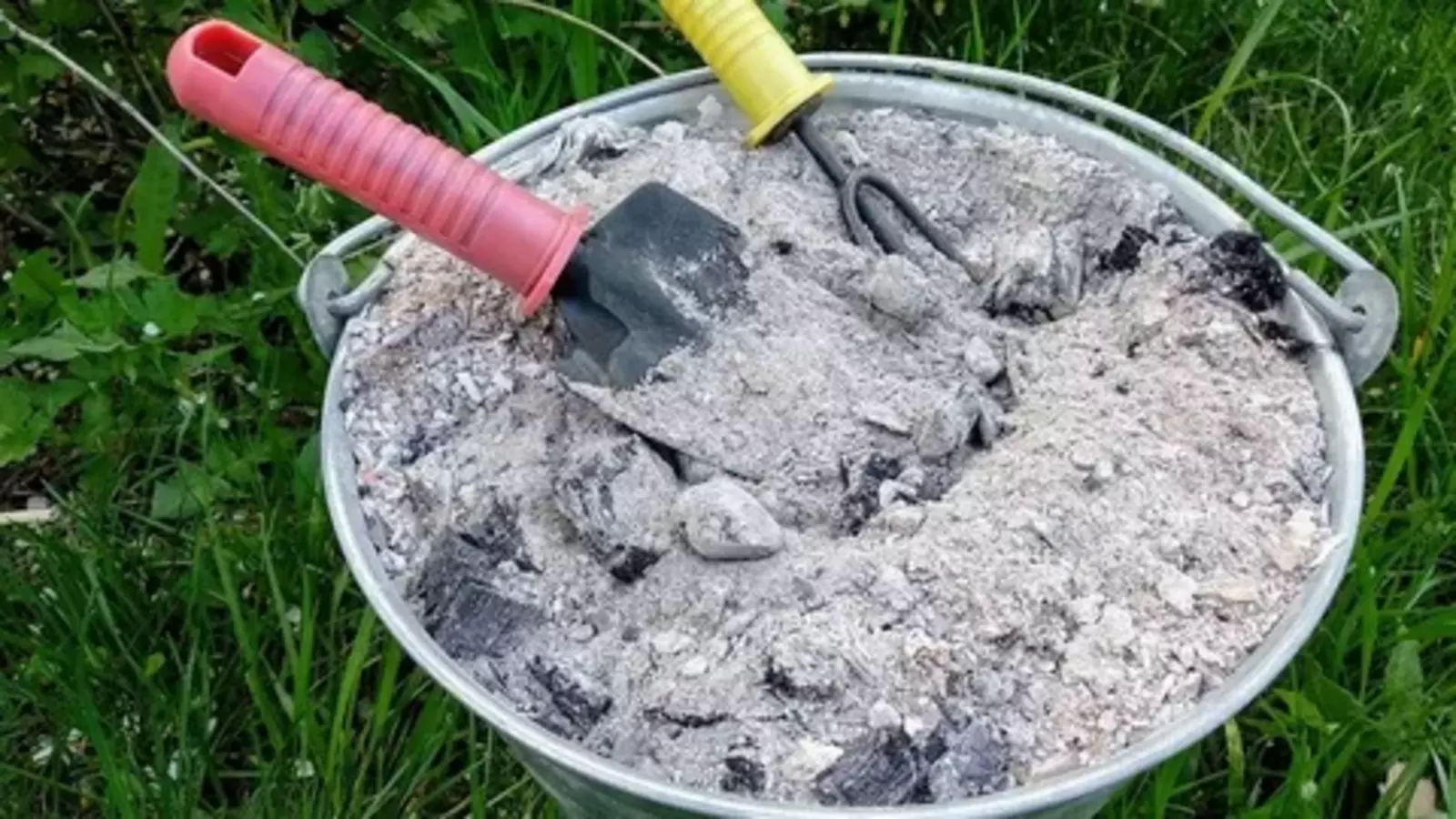 Древесная зола: как правильно использовать?