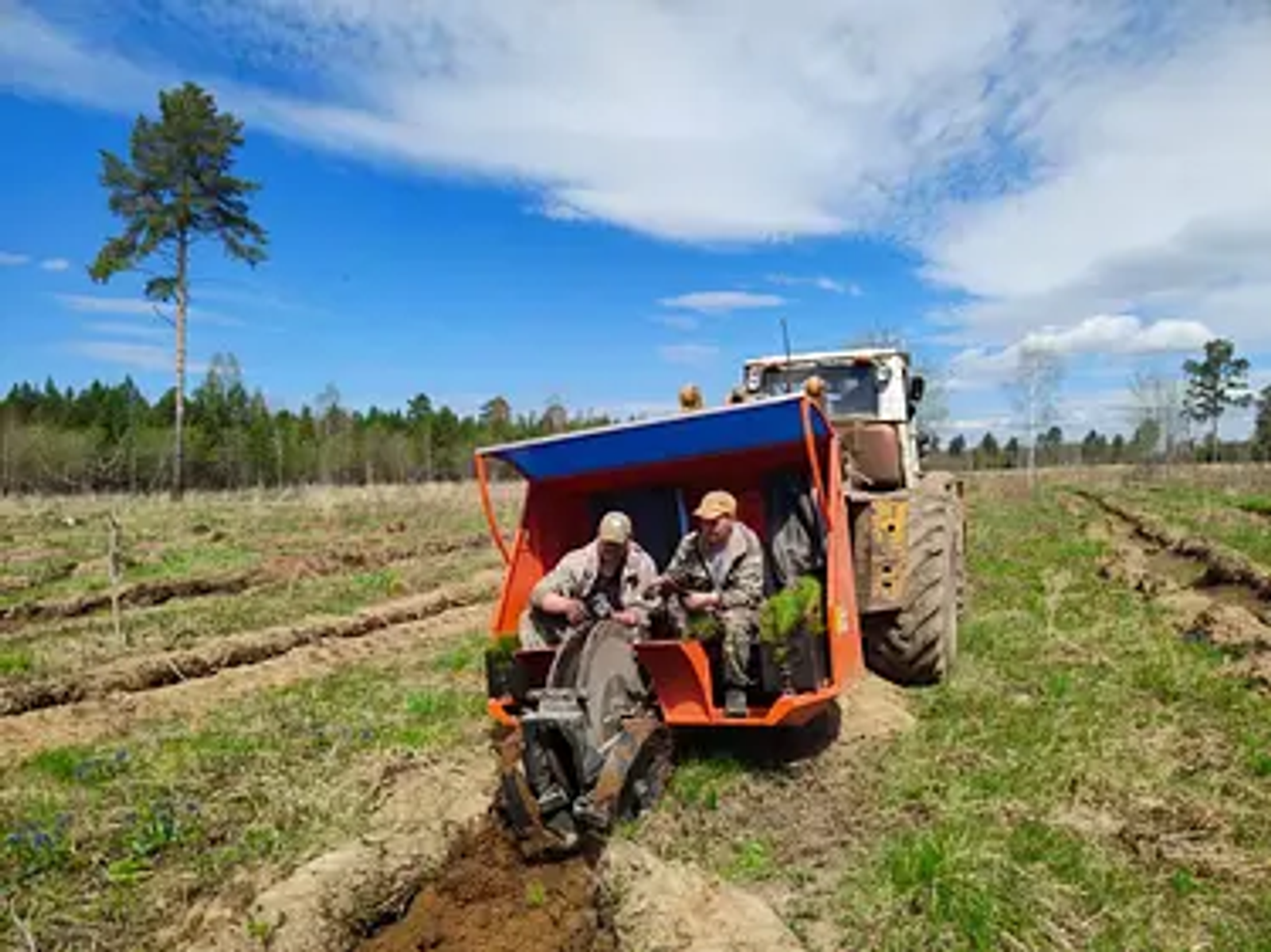 В Башкирии перевыполнен ключевой показатель проекта «Сохранение лесов»