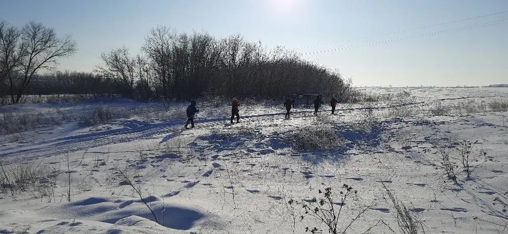 Объединились ради общих дел