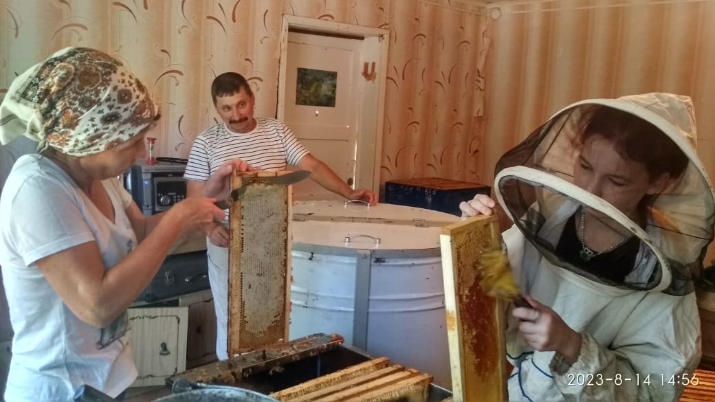 Пчеловодство - образ жизни