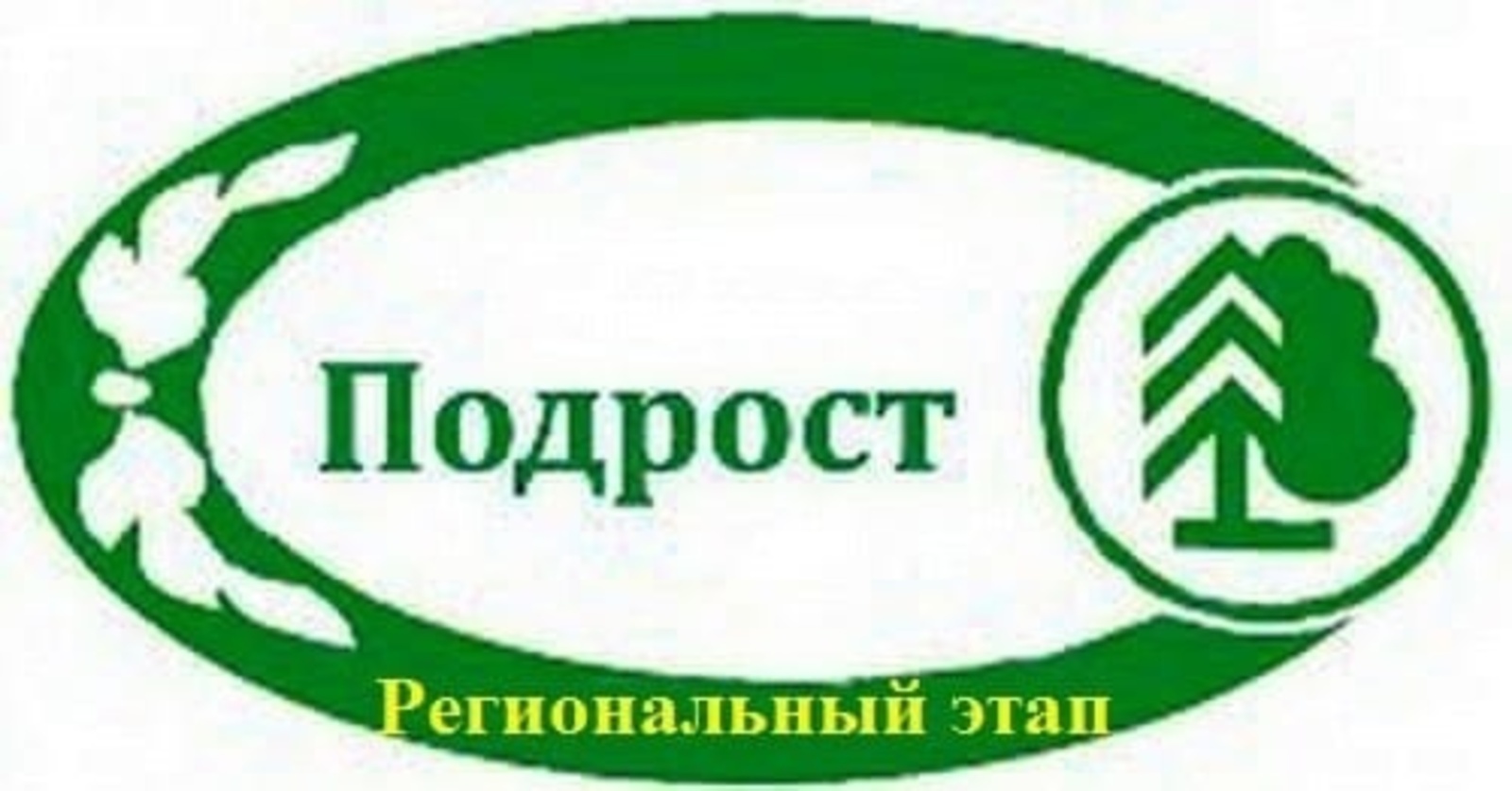 В Башкортостане подведены итоги регионального этапа конкурса «Подрост»