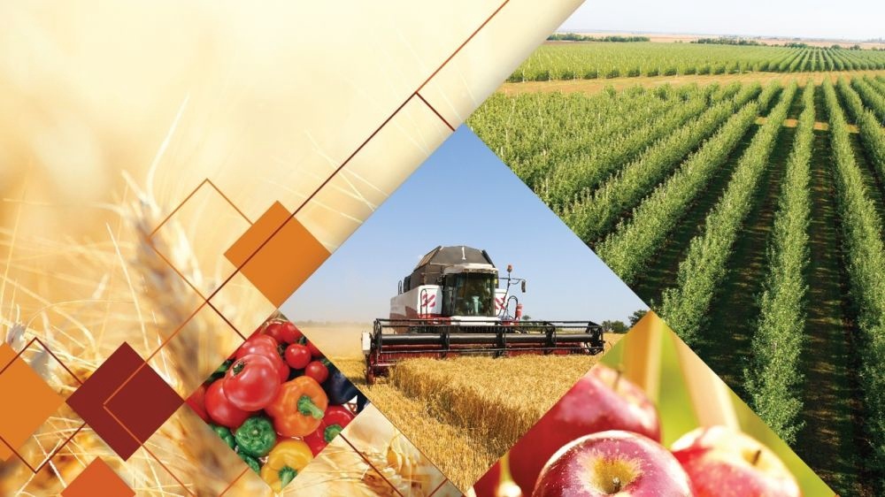 В Башкирии возобновляется программа поддержки сельхозкооперативов