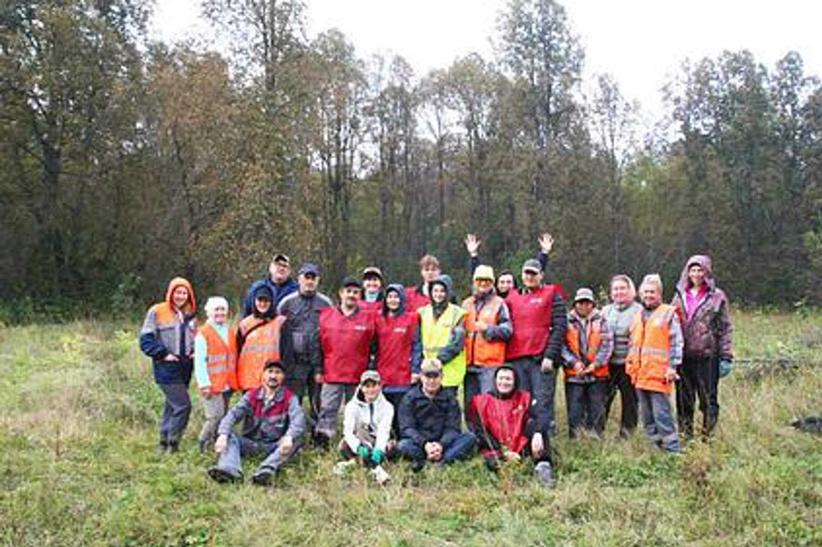Башкирские ученые запустили уникальный проект «Нектарный лес»