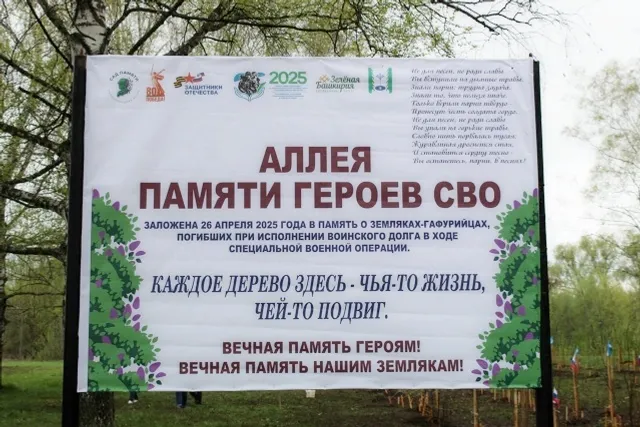 В Гафурийском районе заложили «Аллею памяти героев СВО»