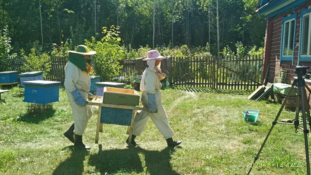 Пчеловодство - образ жизни