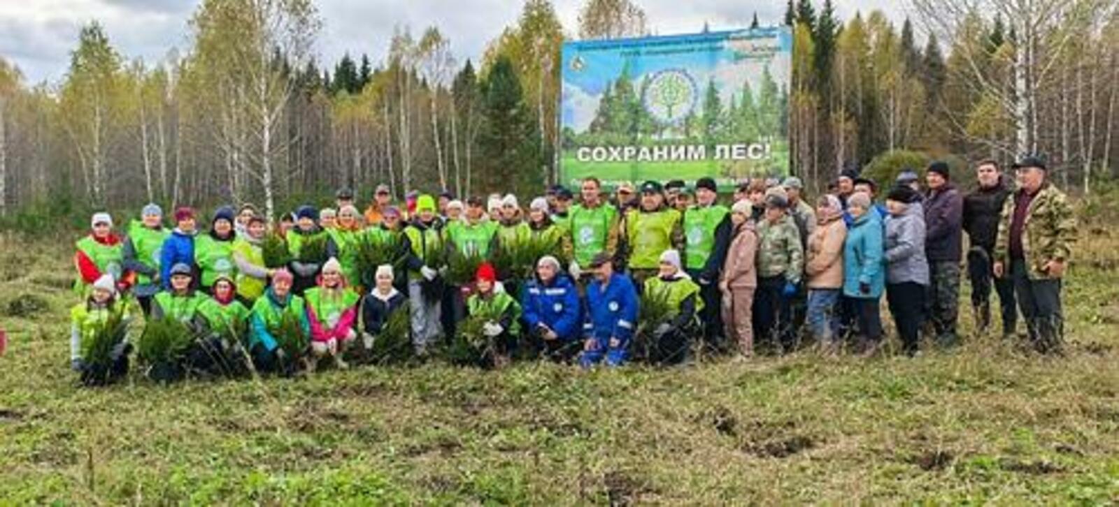 Жители Башкортостана стали самыми активными участниками акции «Сохраним лес»