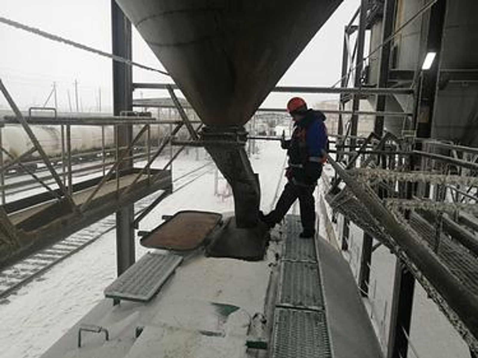 В январе маслозаводы экспортировали более 11 тыс. тонн подсолнечного шрота