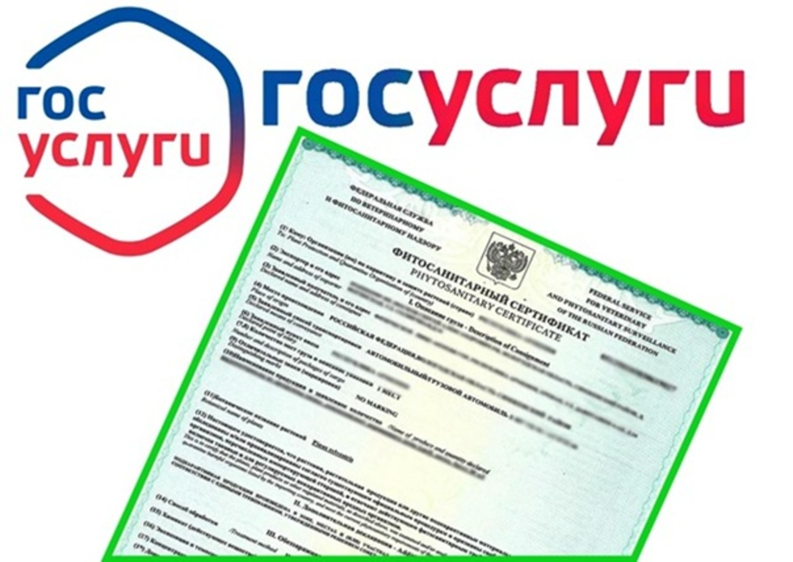 Карантинный сертификат – для чего он нужен?