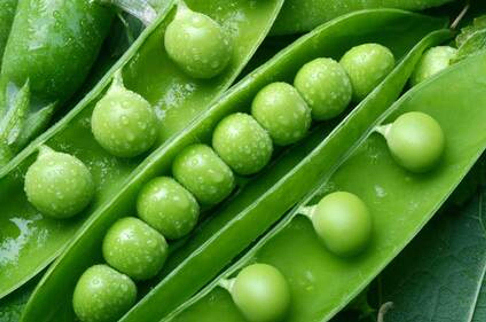 26 железнодорожных вагонов с башкирским горохом отправились в Китай