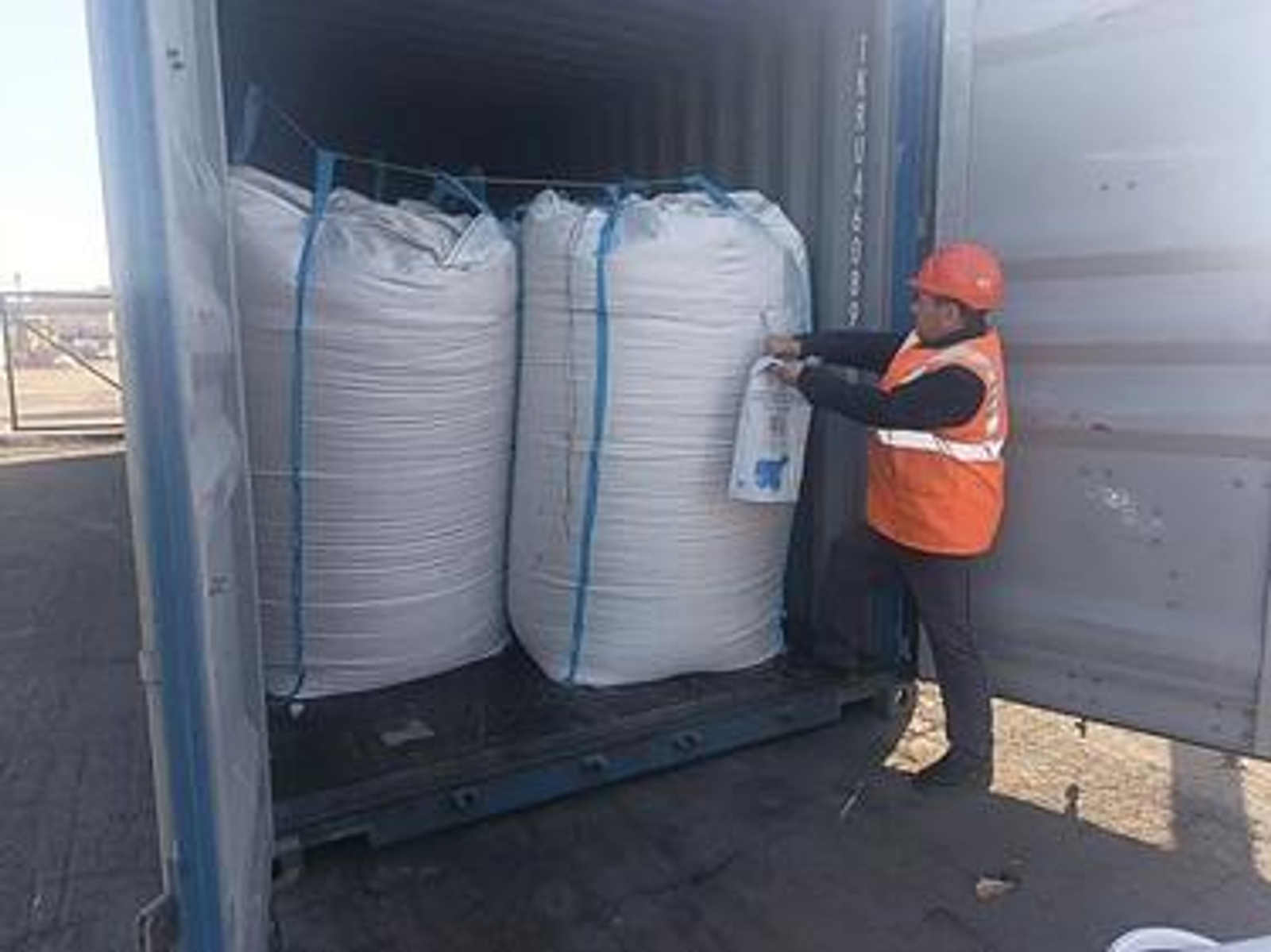 Башкирия впервые экспортировал в Китай более 1 тыс. тонн продовольственного овса