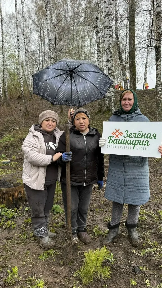 Заложили тематические аллеи
